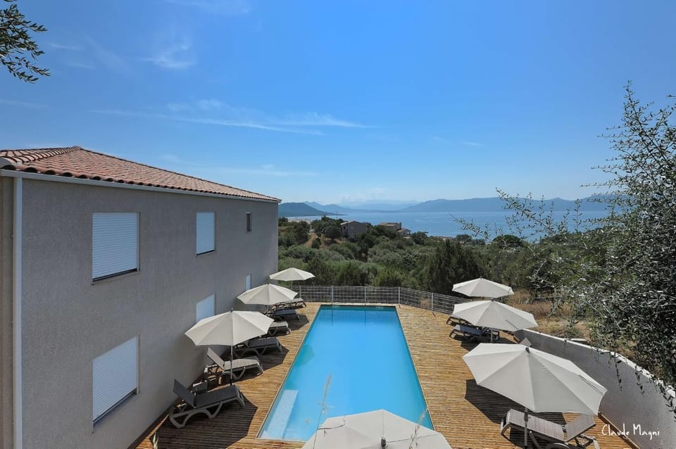 Day, Pool view, Swimming pool