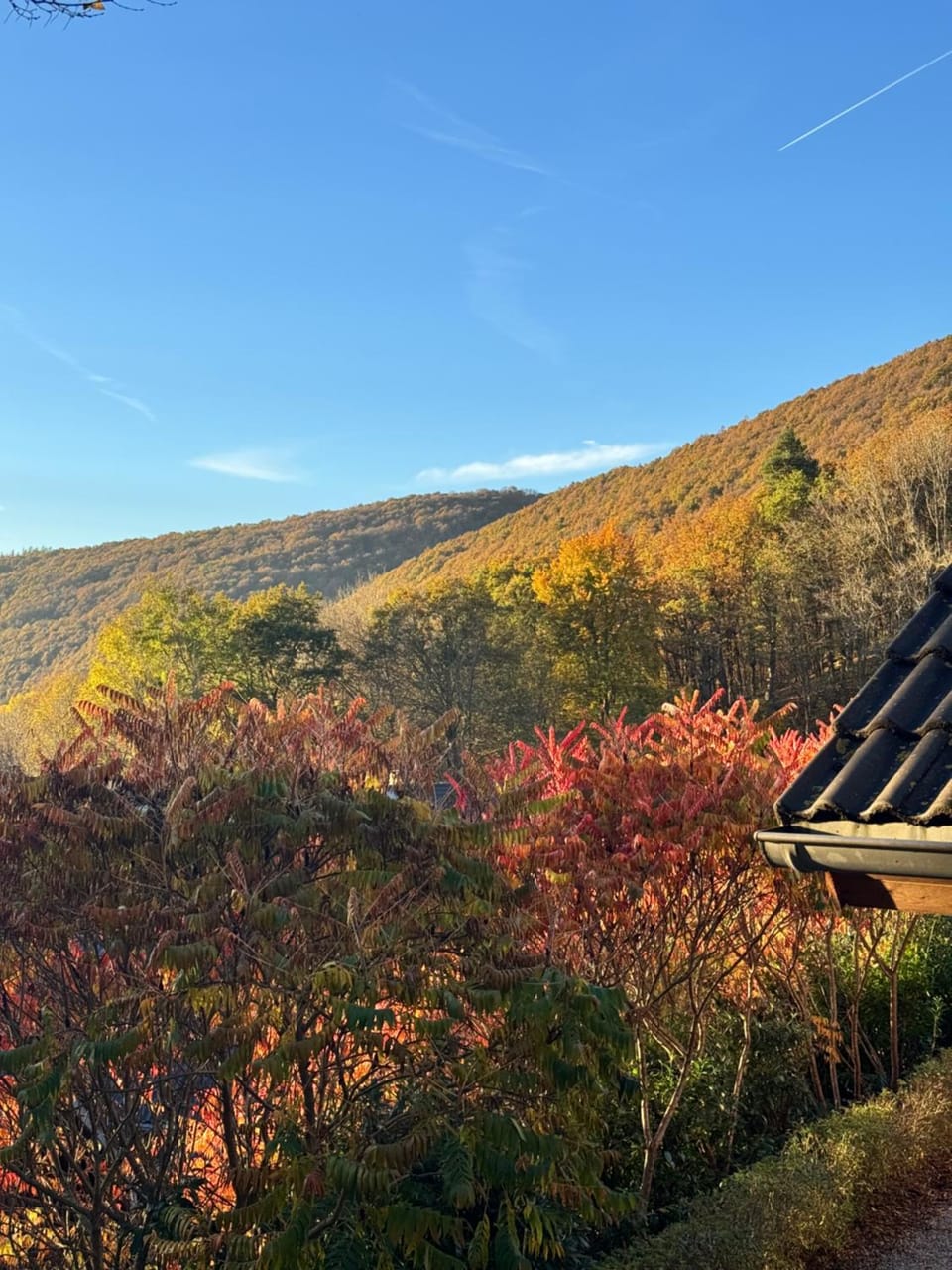 Natural landscape, Mountain view