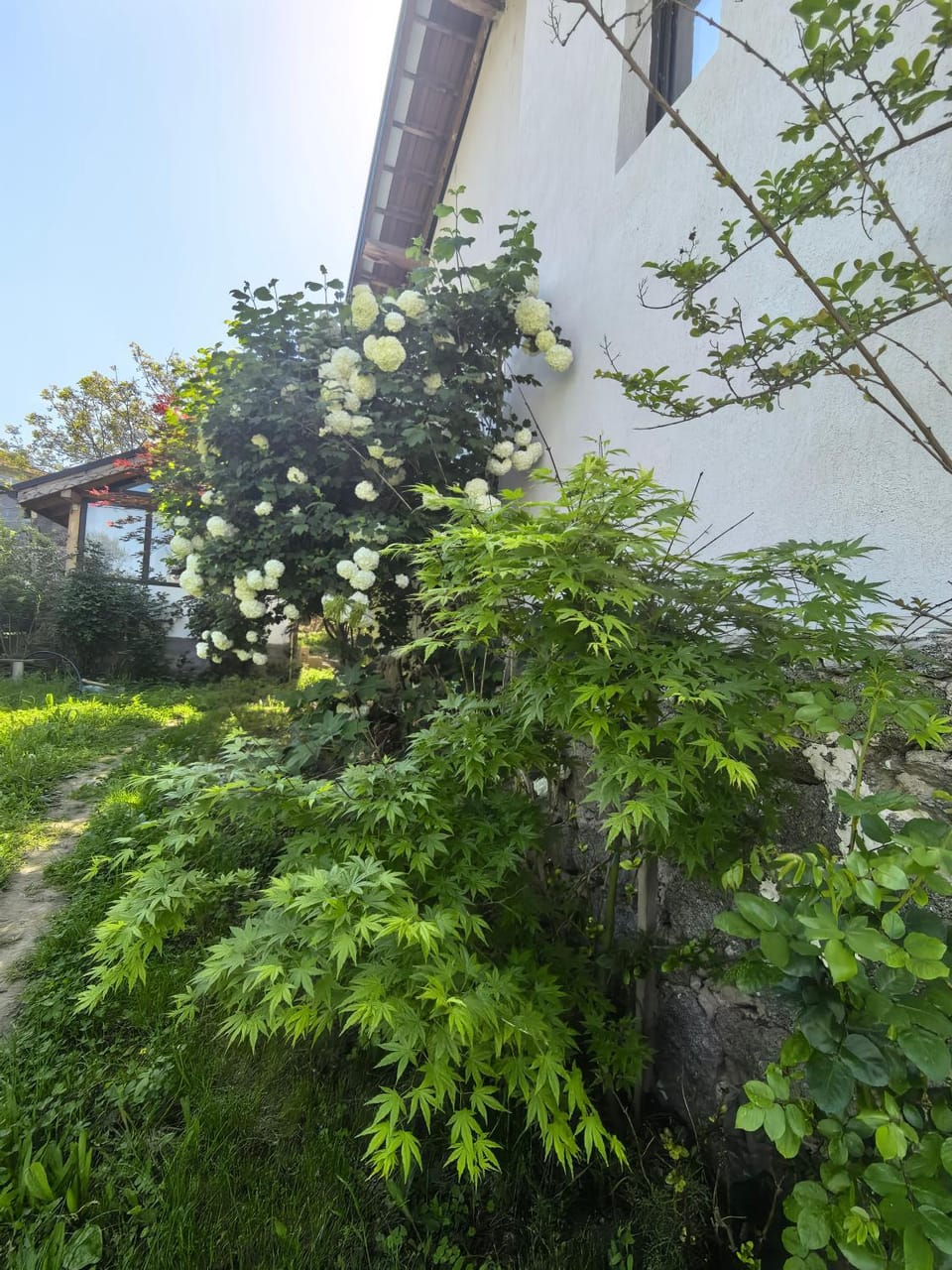 Property building, Garden view