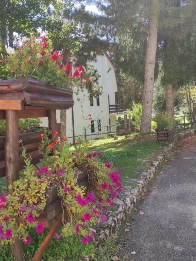 Spring, Natural landscape, Garden view