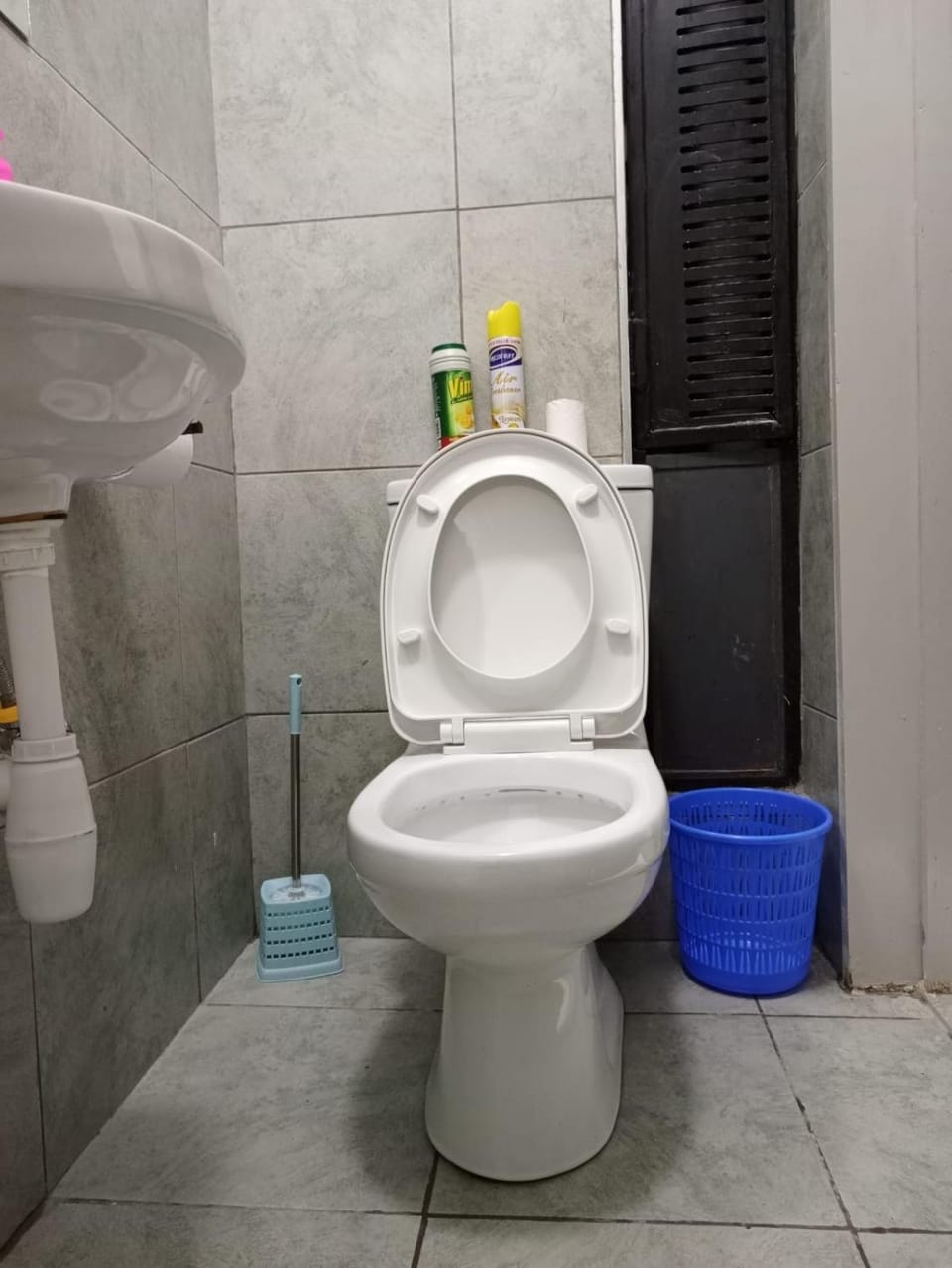 Toilet, Bathroom, bidet