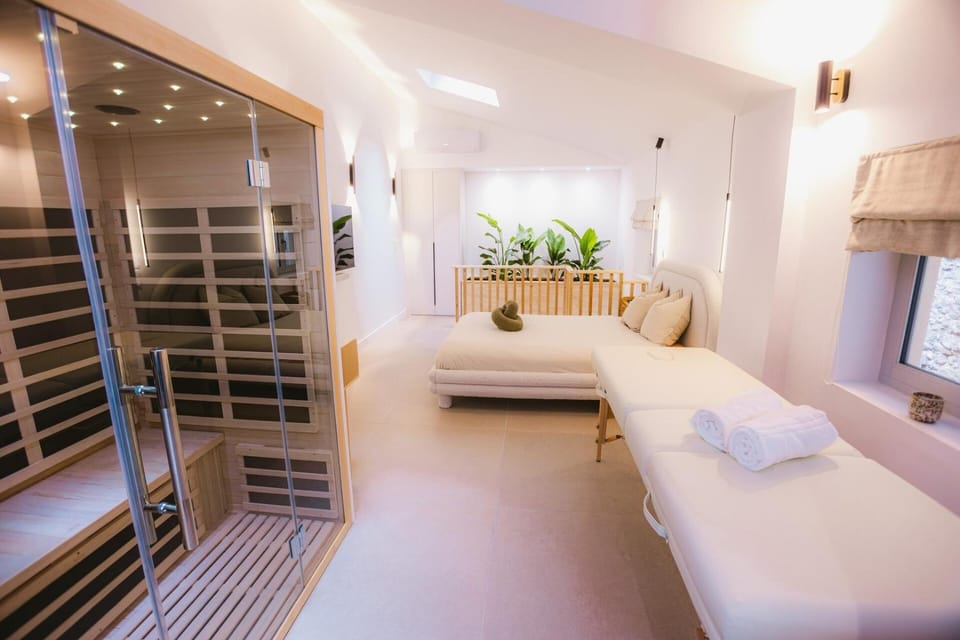 Sauna - Massage - Double Shower - Luxe in Romans House in Provence