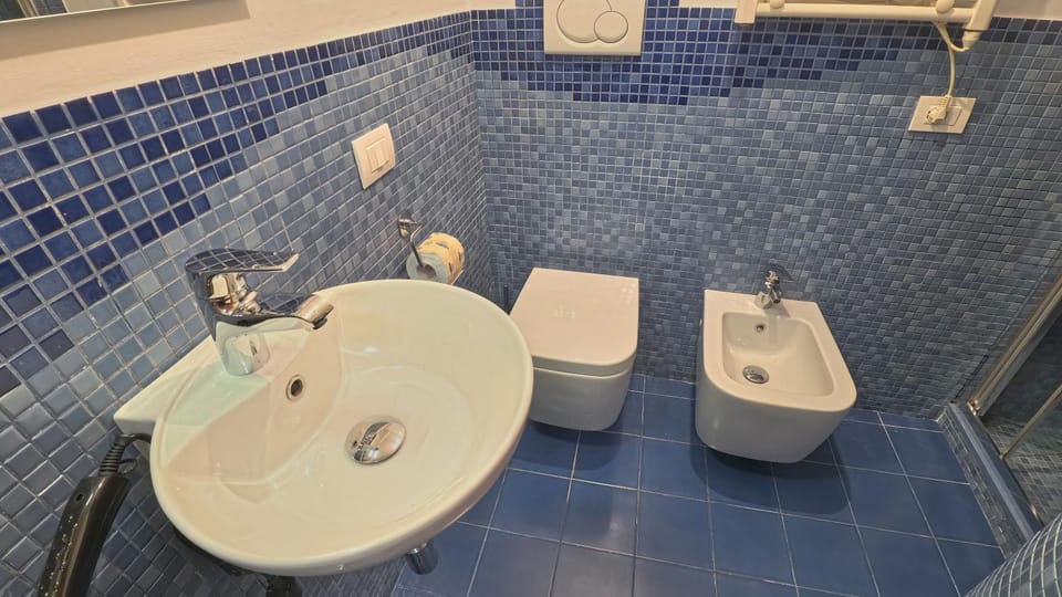 Toilet, Bathroom, bidet