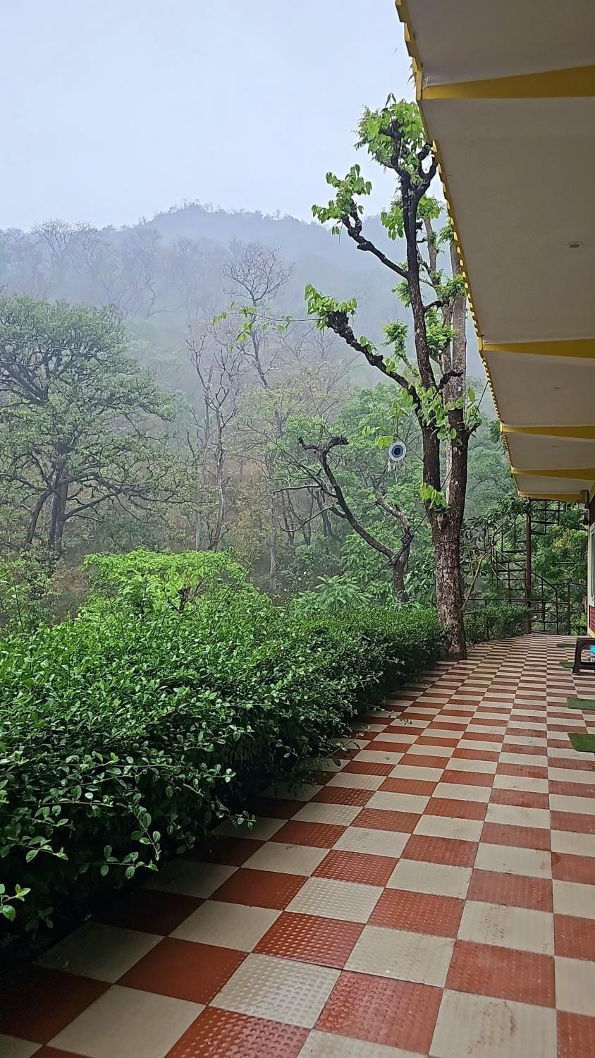 View (from property/room)