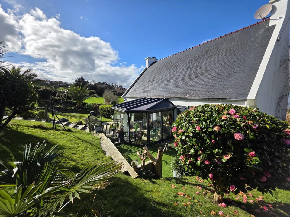 Patio, Garden, Garden view