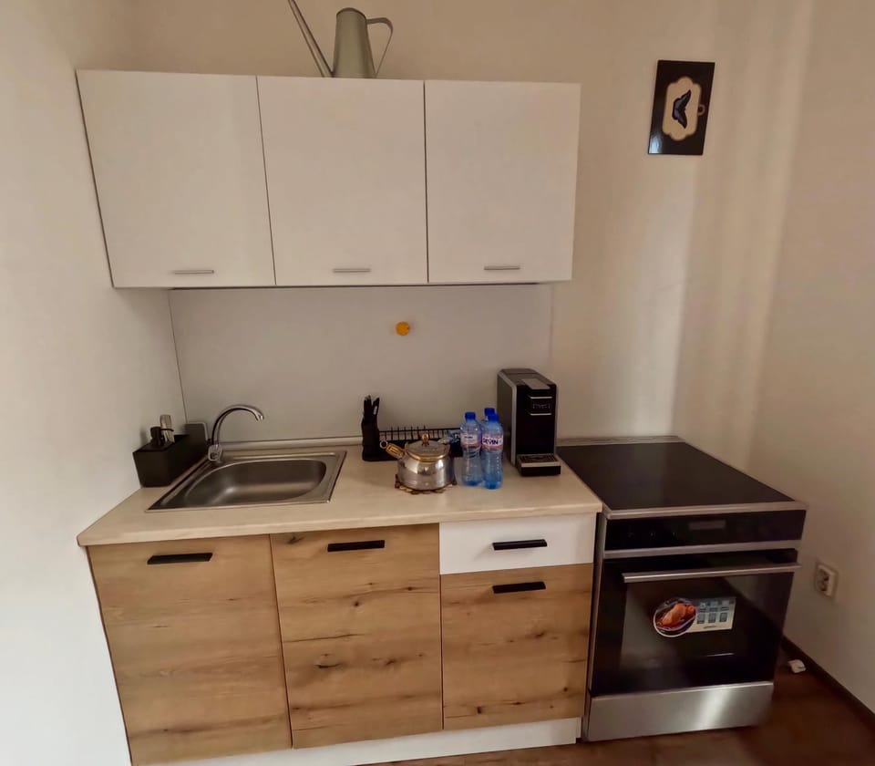 Kitchen or kitchenette, minibar, oven, pet friendly, stove, toaster