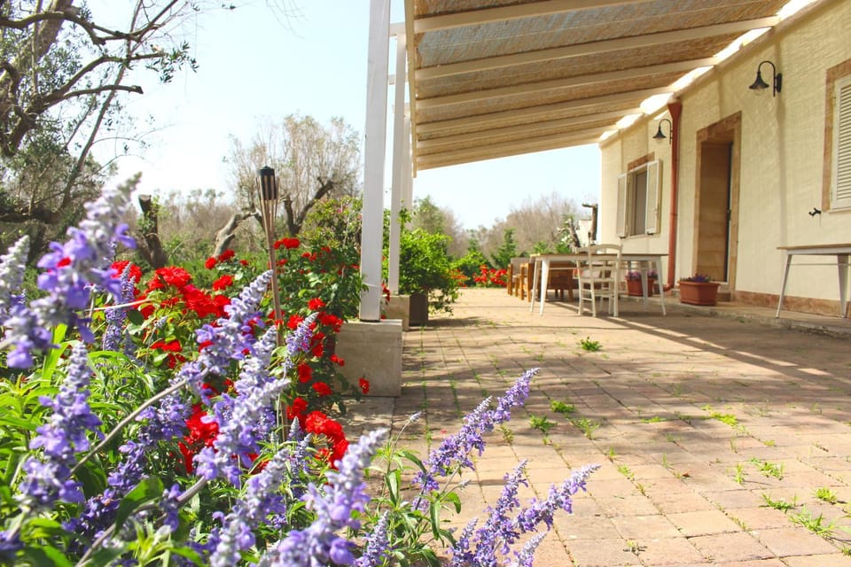 Patio, Restaurant/places to eat, Evening entertainment
