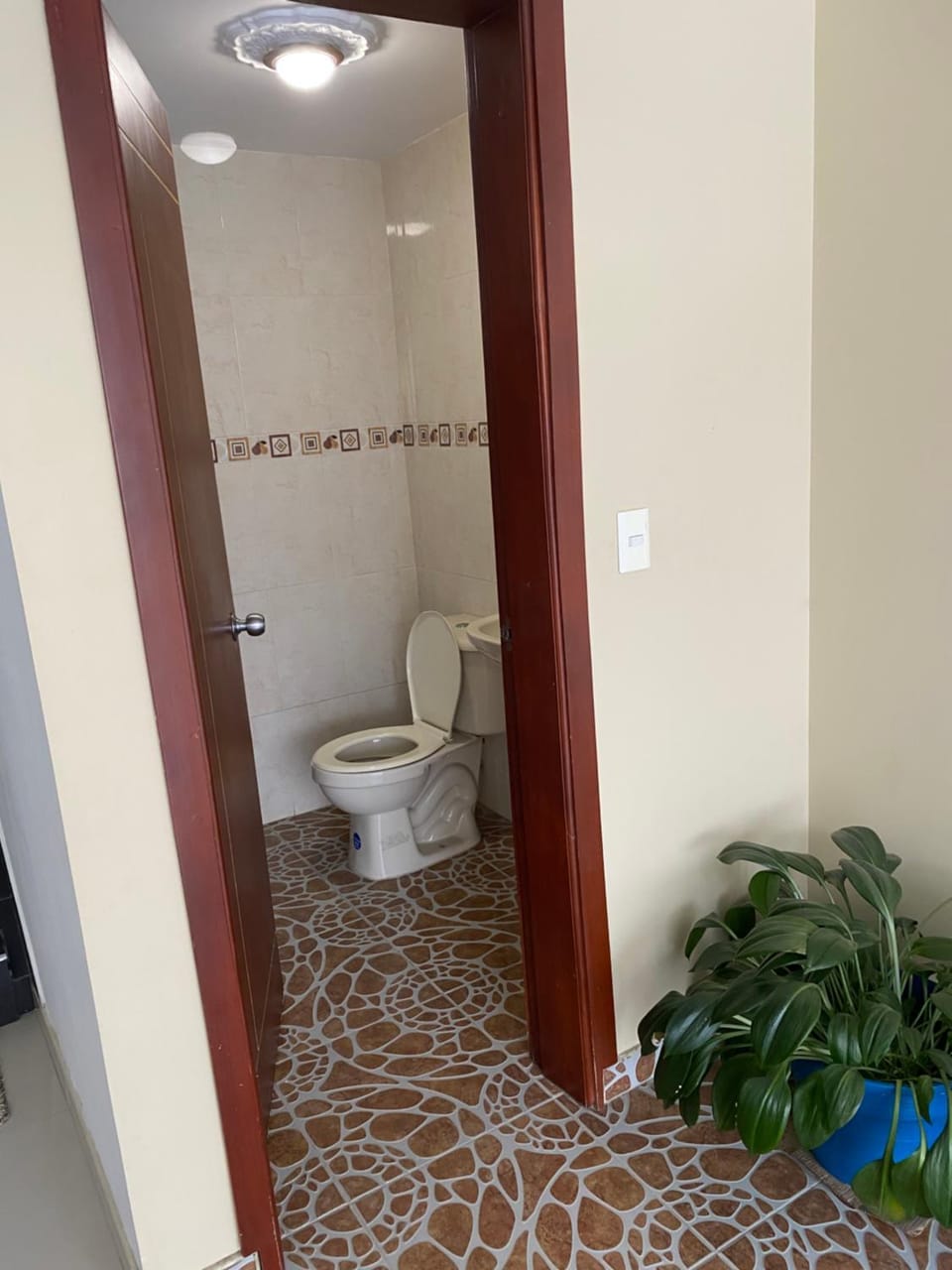 Toilet, Bathroom