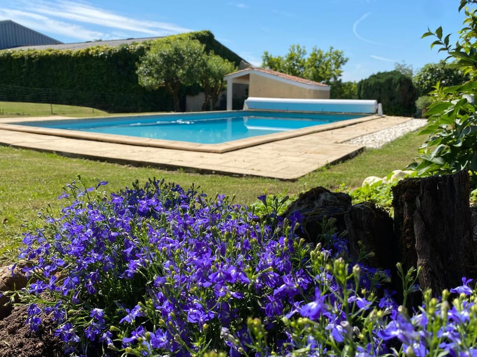 Spring, Garden view, Pool view, Swimming pool