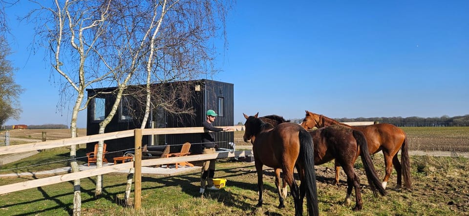 Tiny House Le Haras en Baie de Somme Chalet in Hauts-de-France