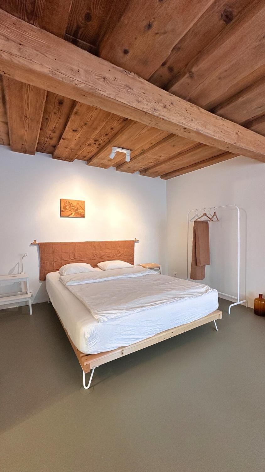 die Lauschige im Herzen von Linz Apartment in Linz