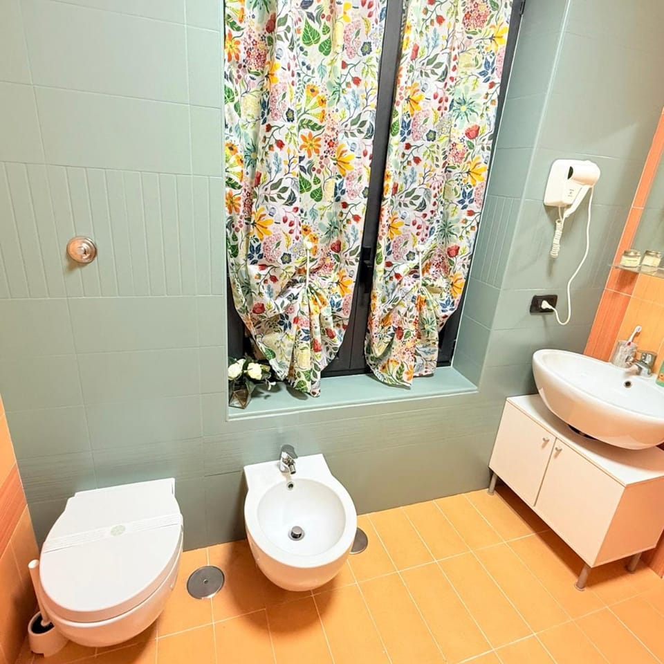 Shower, Toilet, Bathroom, bidet