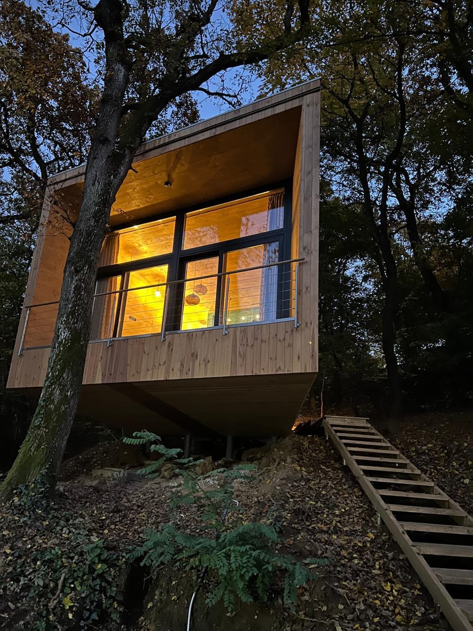 Property building, Night, Natural landscape, Garden, Garden view