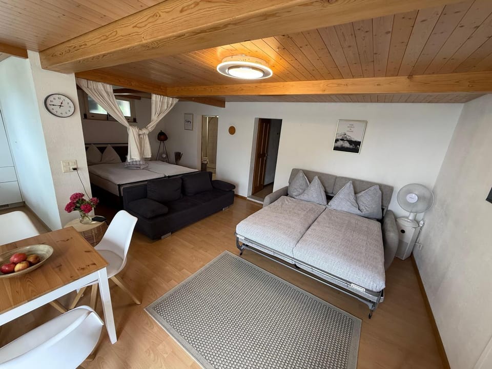 Studio with lake and mountain view Apartment in Canton of Bern (Region)