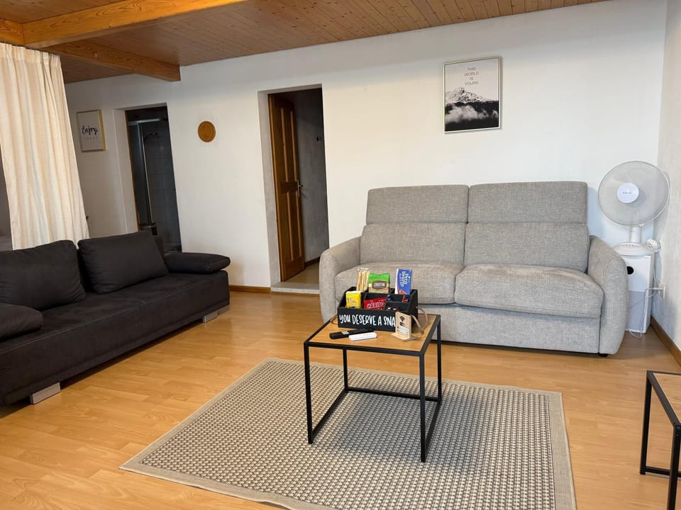 Studio with lake and mountain view Apartment in Canton of Bern (Region)