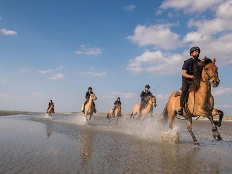 Studio au RDC d'une maison Apartment in Quend