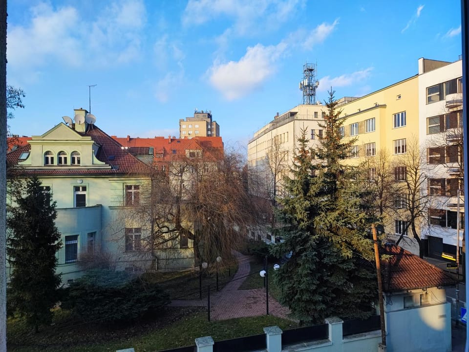 Day, Street view