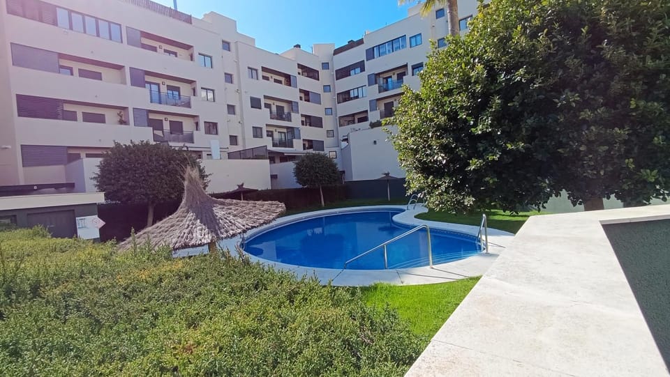 Garden, Swimming pool, Swimming pool
