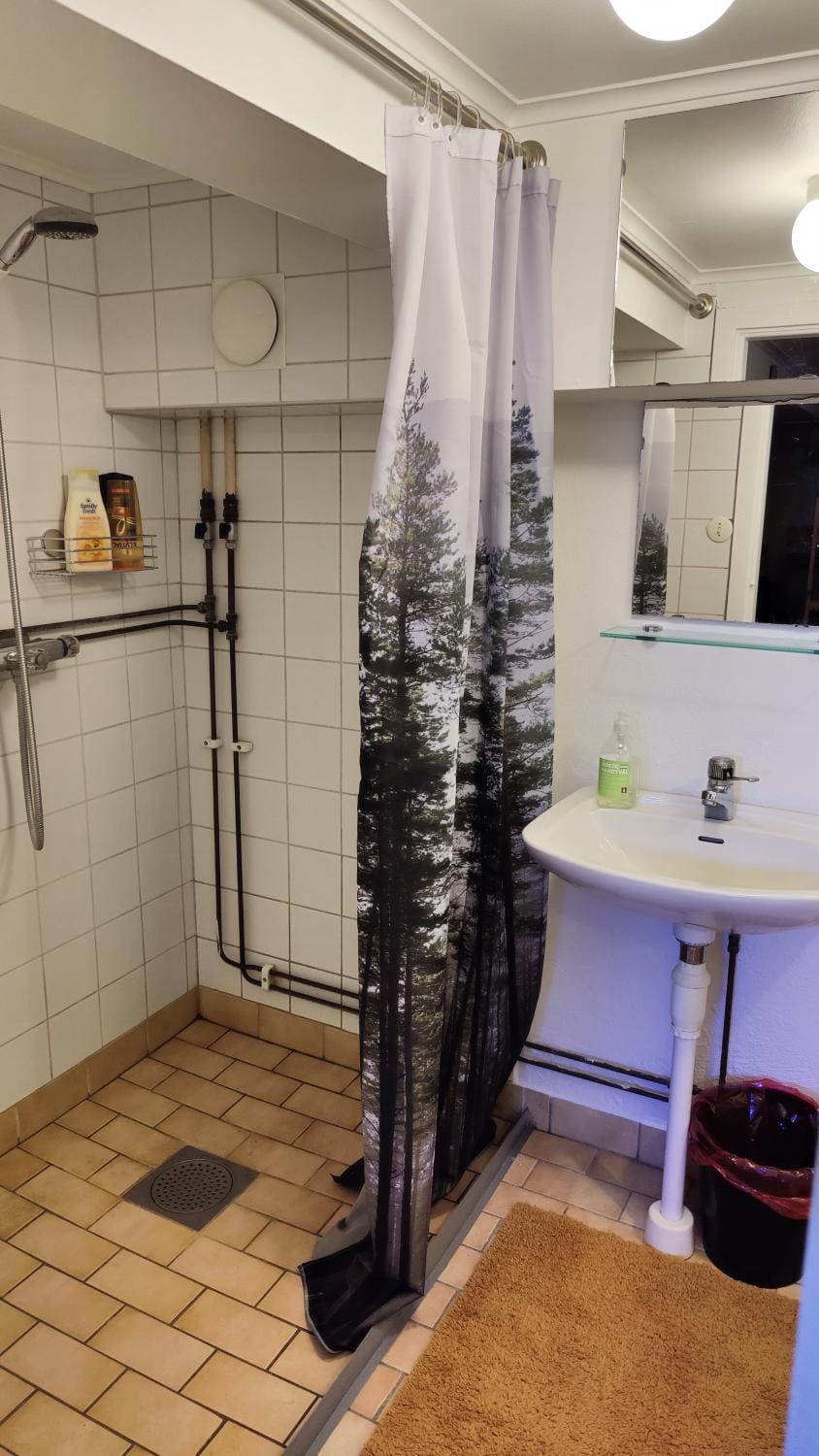Shower, Bathroom