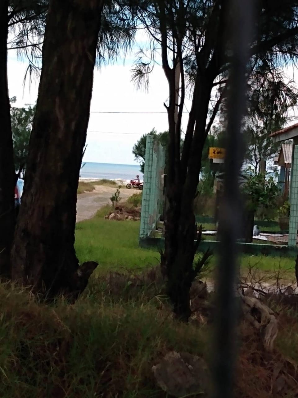 Natural landscape, Beach, Garden view, Sea view