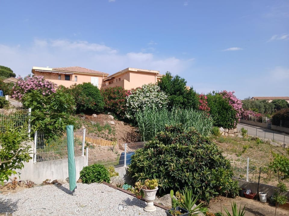 grand appartement CALVI Apartment in Calvi