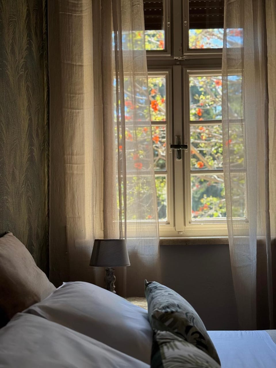 Casa Assisi Apartment in Rhodes