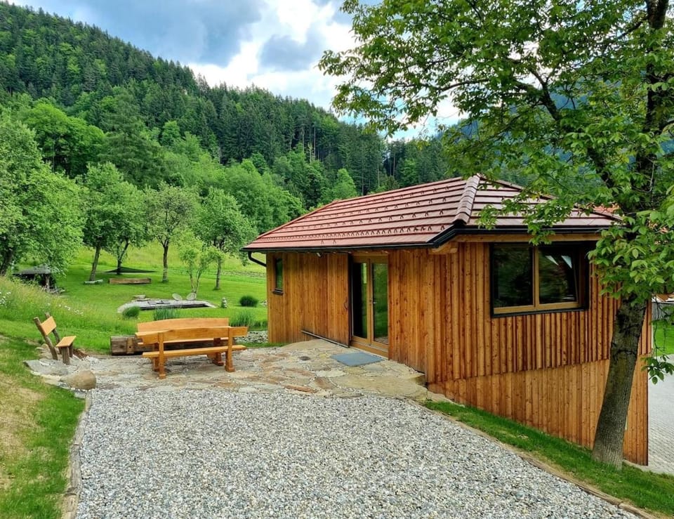 Studio Apartma2 pri Adamu Apartment in Slovenia