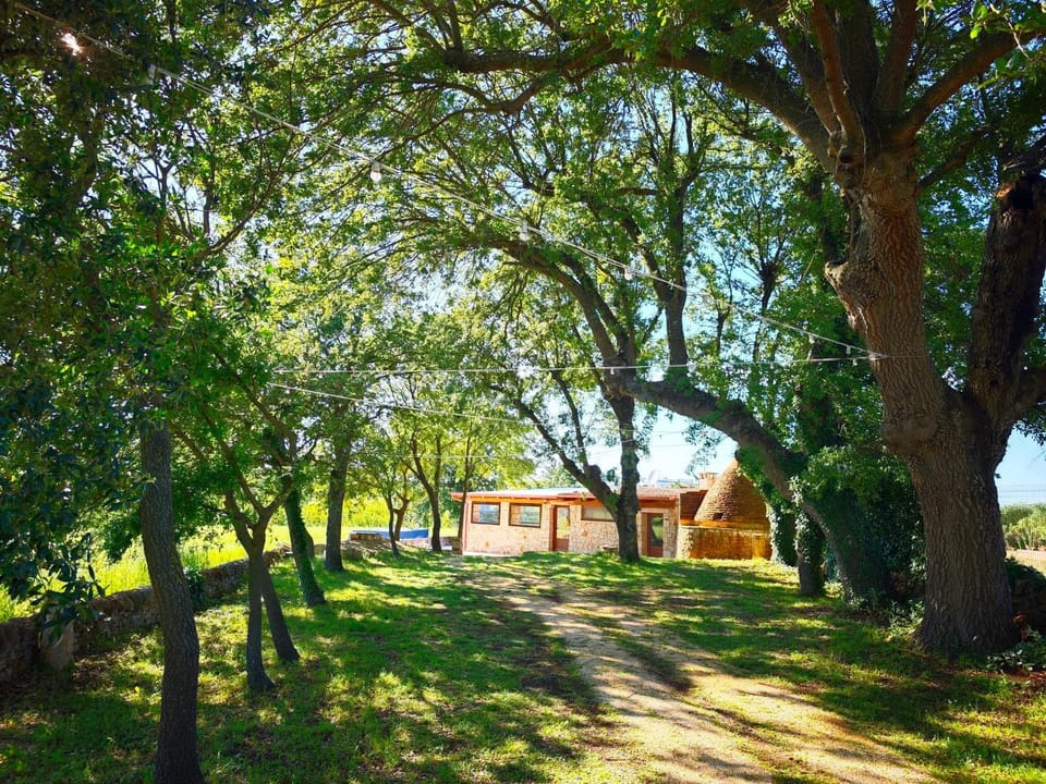 Il Trullo nel bosco Apartment in Province of Taranto