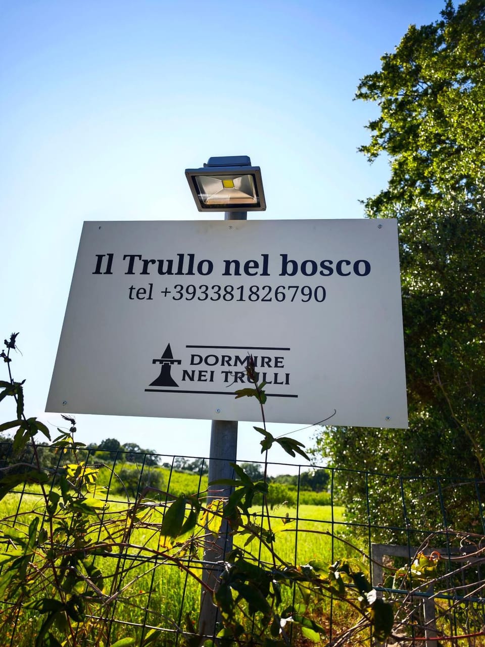 Il Trullo nel bosco Apartment in Province of Taranto