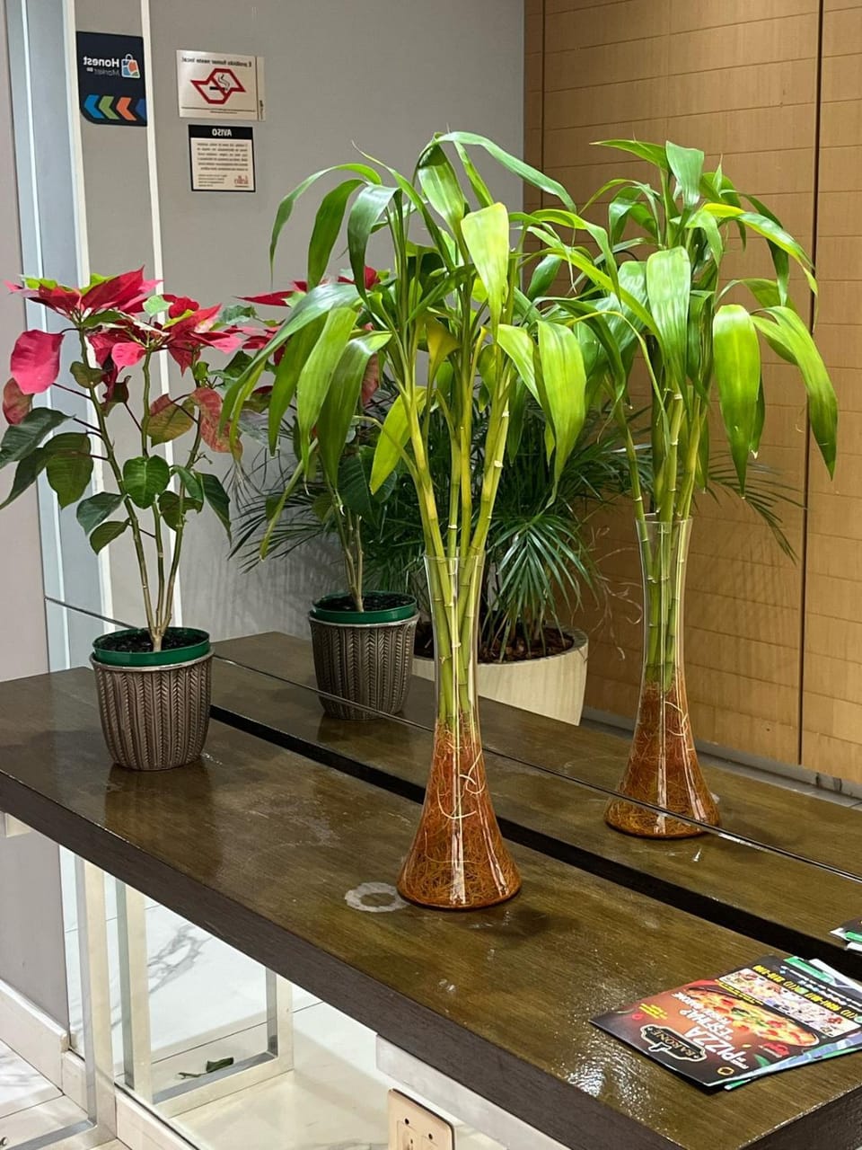Shop Club Vila Guilherme Apartment in Sao Paulo City