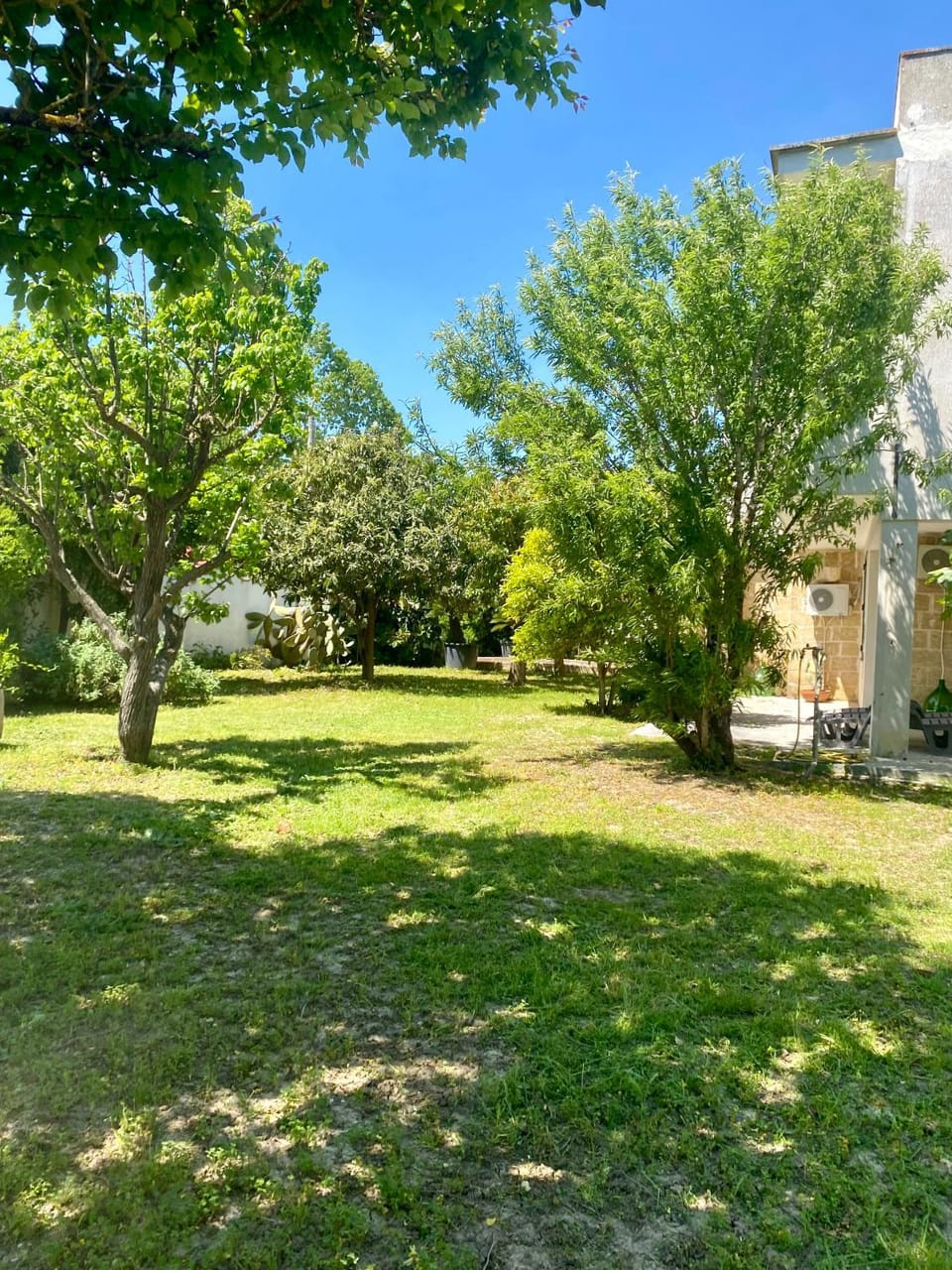 Property building, Spring, Garden