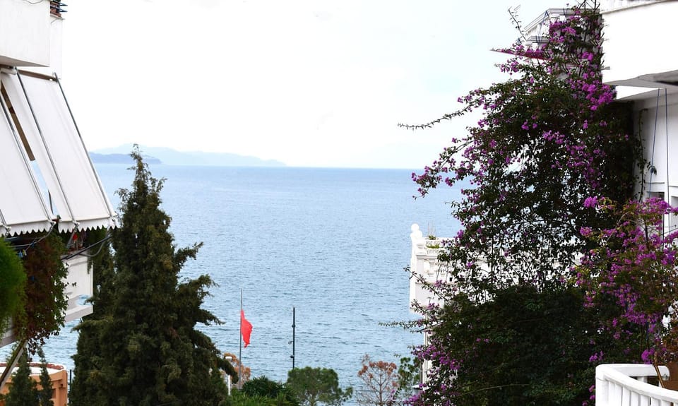 View (from property/room)