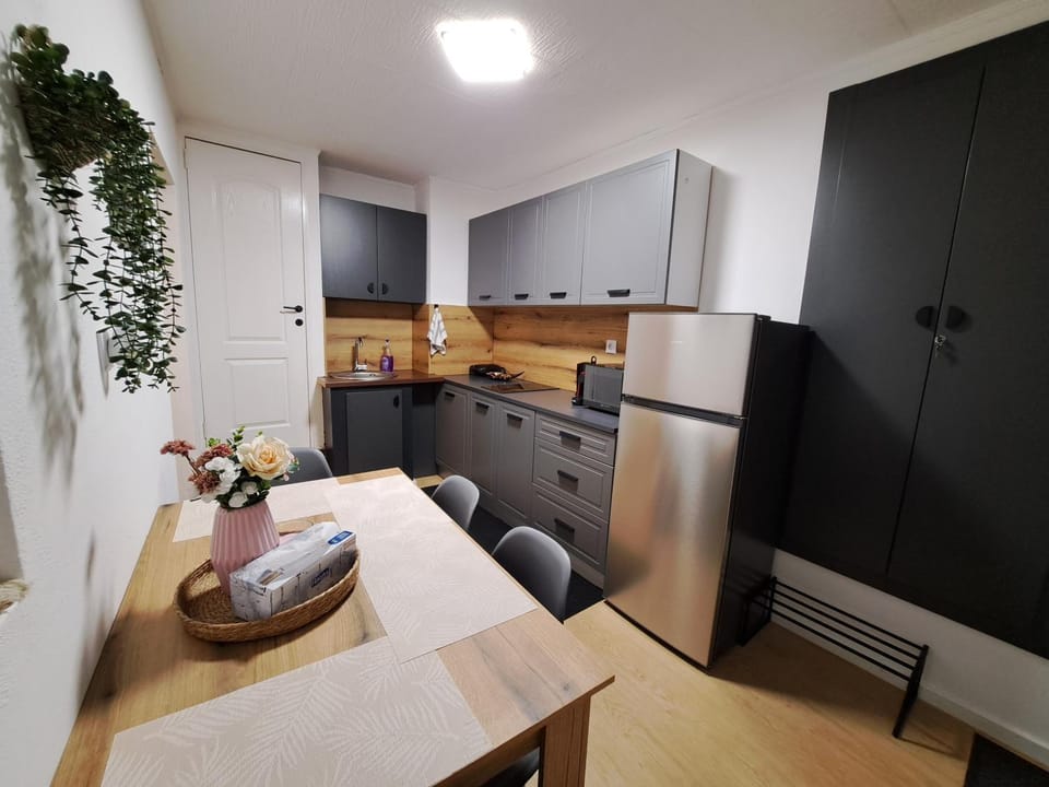 Kitchen or kitchenette, Dining area, oven, stove