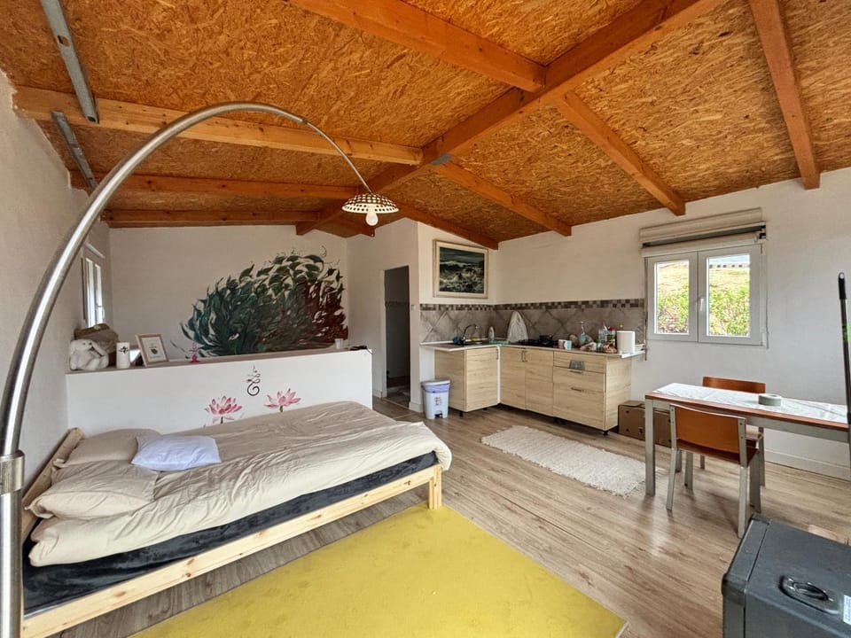 Bed, Kitchen or kitchenette, Living room, Photo of the whole room, Seating area, Dining area, Bedroom, stove