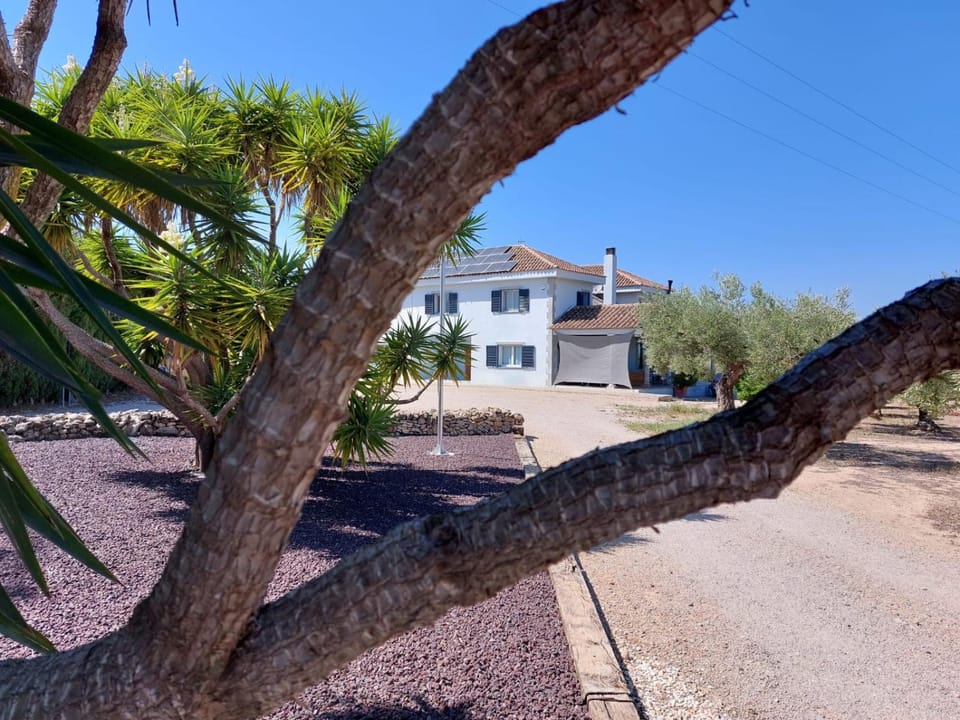 Property building, Day, Garden view, Area and facilities