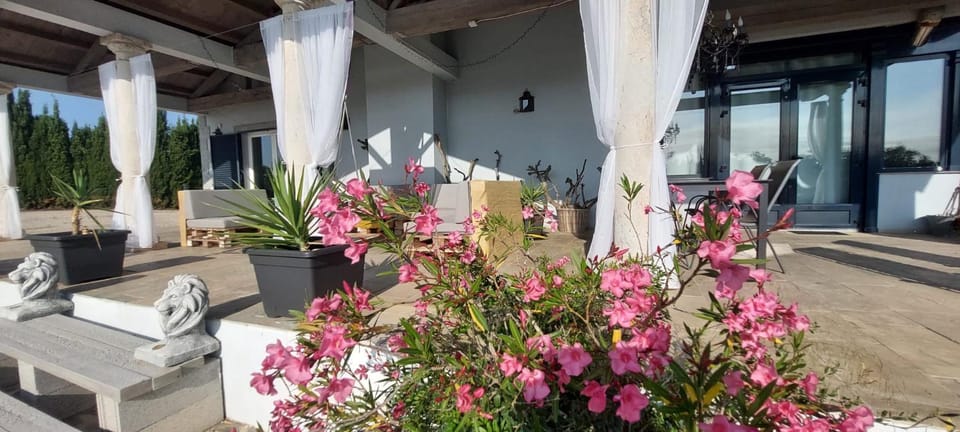 Property building, Patio, Day, Garden, View (from property/room), Balcony/Terrace, Seating area, Garden view
