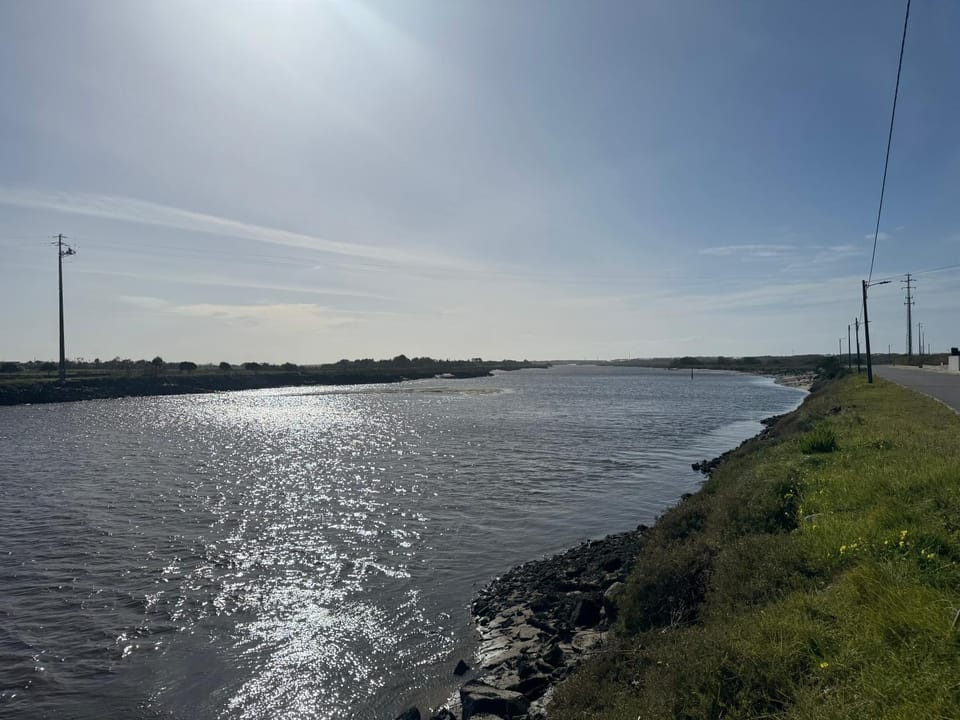 Natural landscape, River view