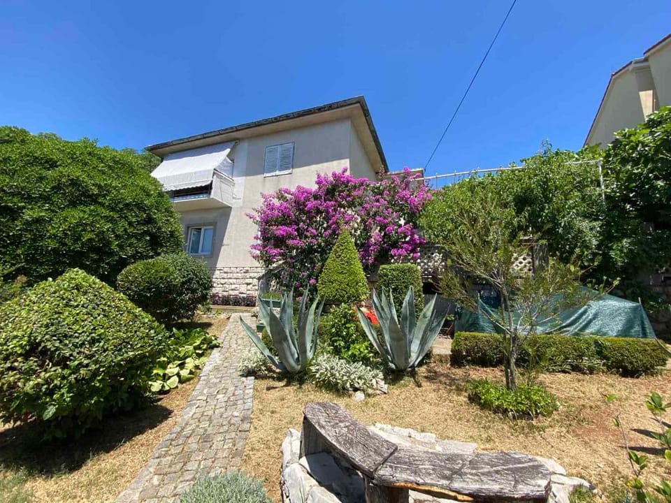 Property building, Summer, Garden