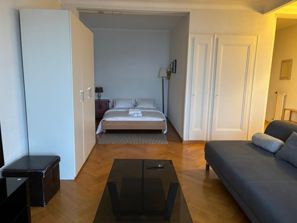 Between The Lausanne train station and Saint Francois Apartment in Lausanne