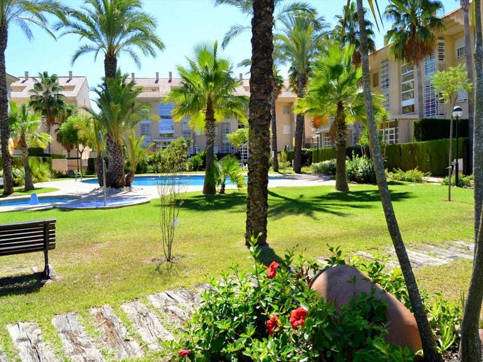Garden, Swimming pool