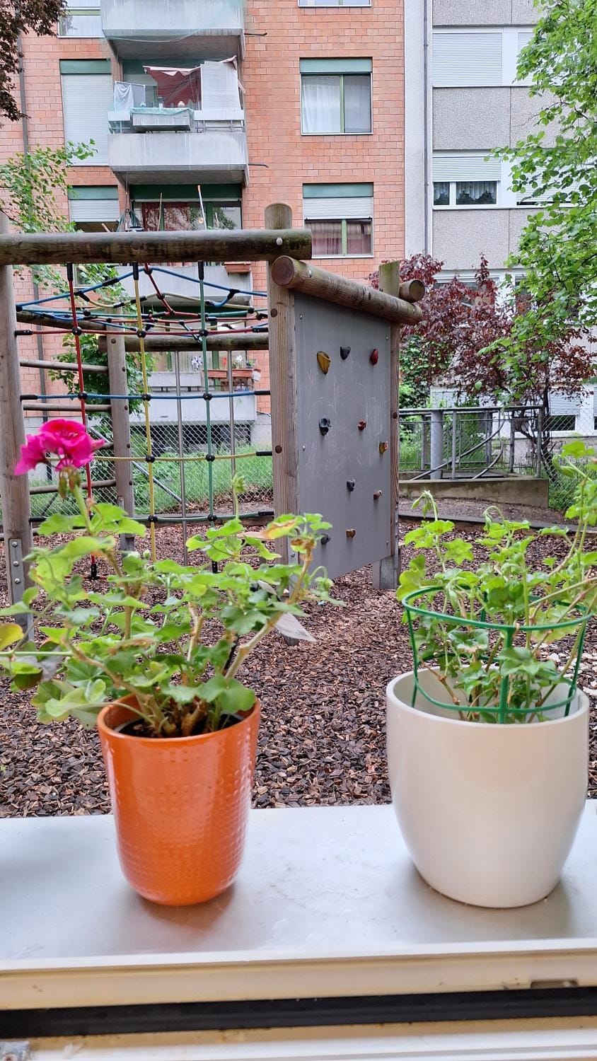 Ferienwohnung nähe Universität-Novartis Apartment in Basel