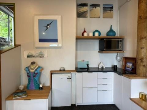 Kitchen or kitchenette, kitchen