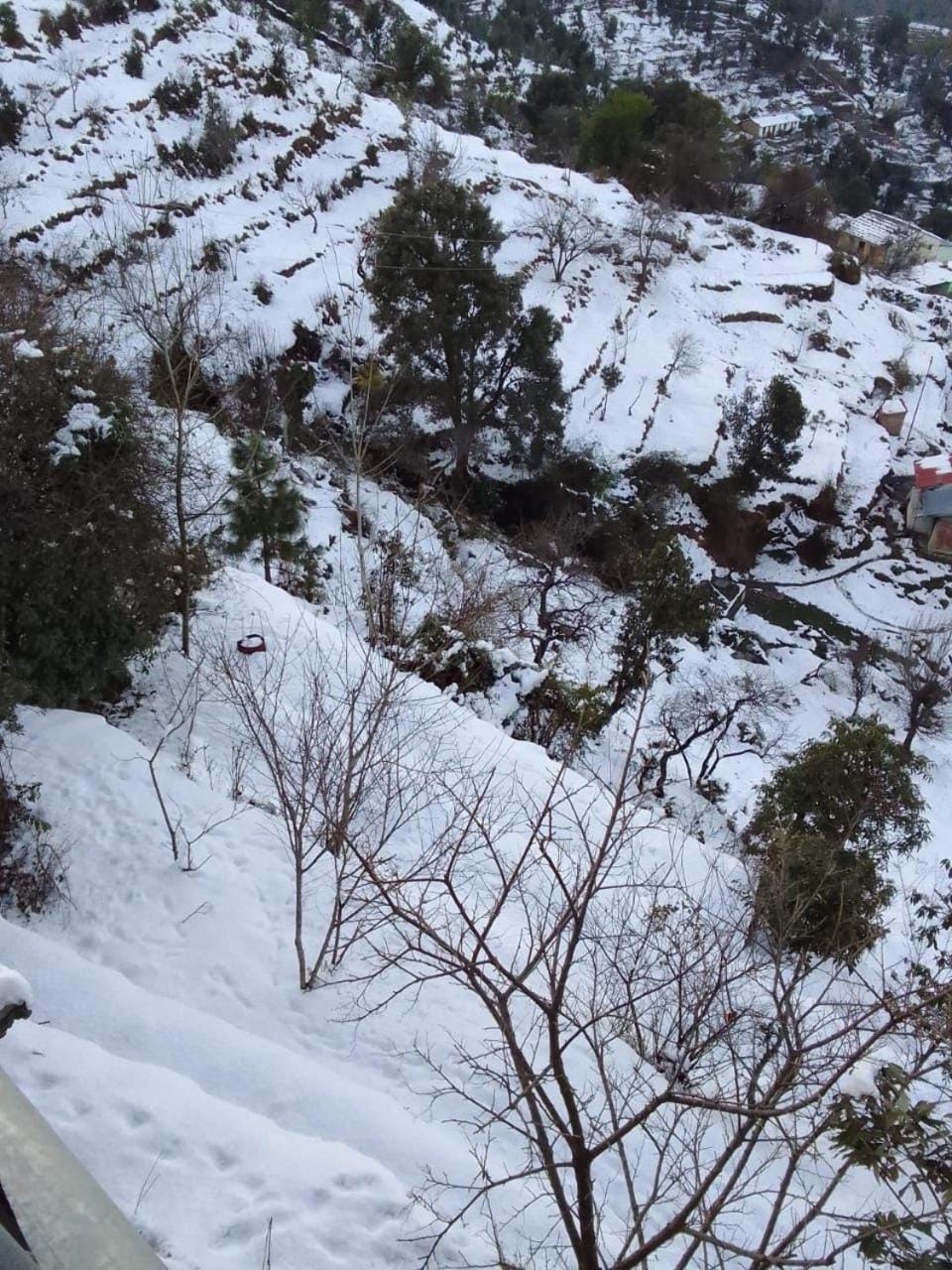 Natural landscape