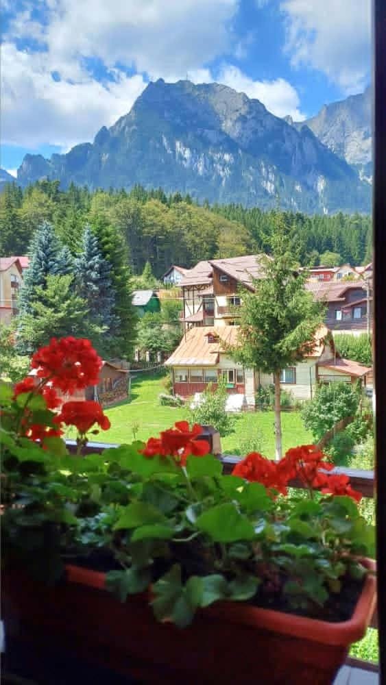 Day, Natural landscape, Mountain view