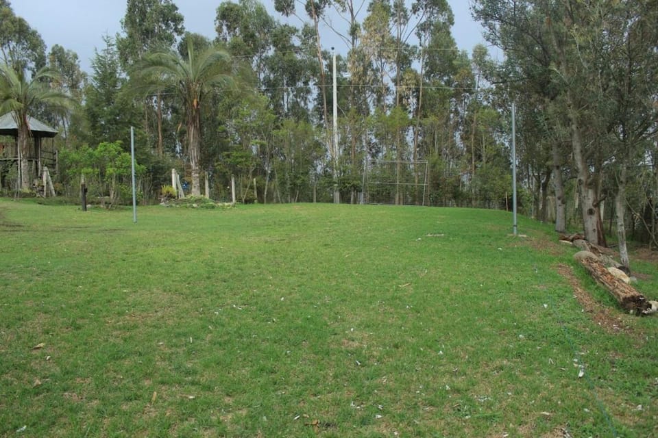 Natural landscape, Garden view