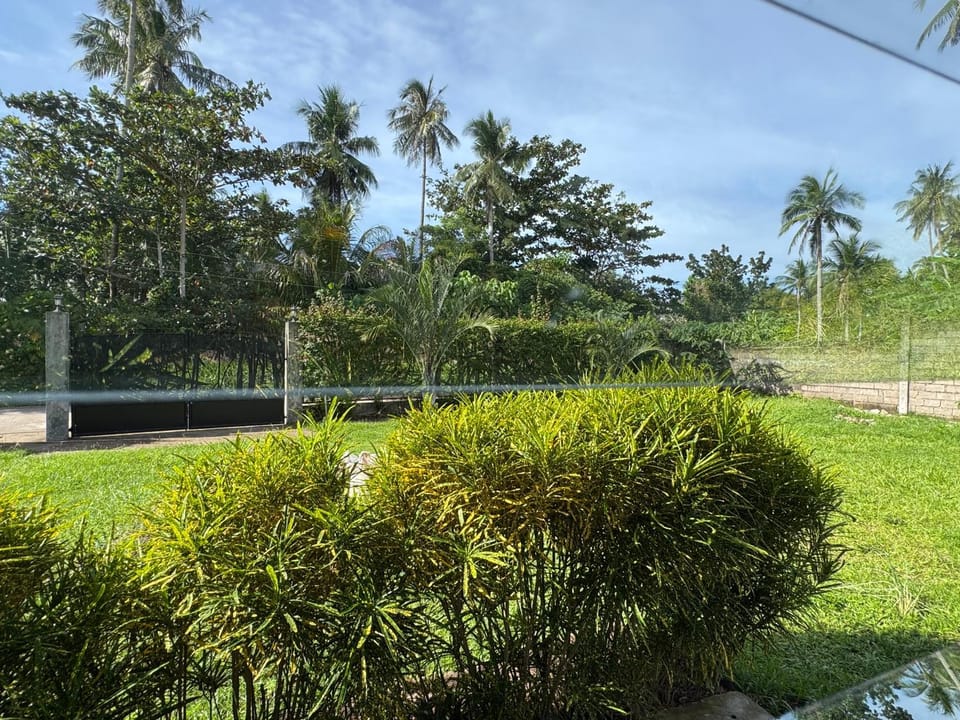 Natural landscape, Garden view