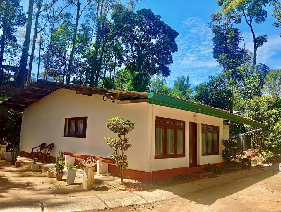 Property building, Spring, Day, Garden, Garden view