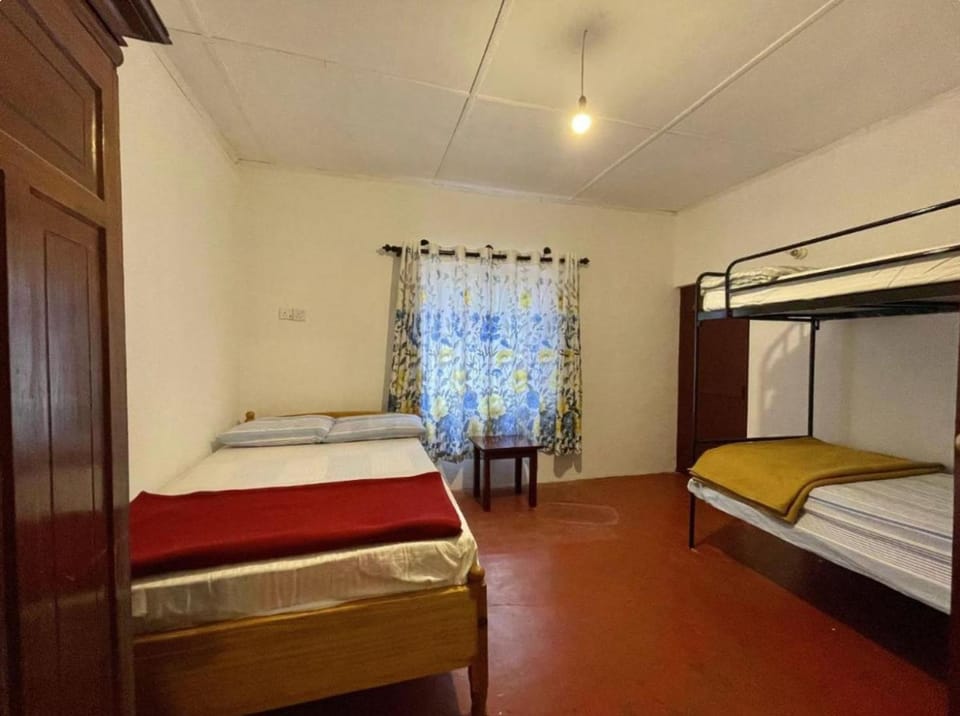 Bed, Photo of the whole room, Bedroom, bunk bed