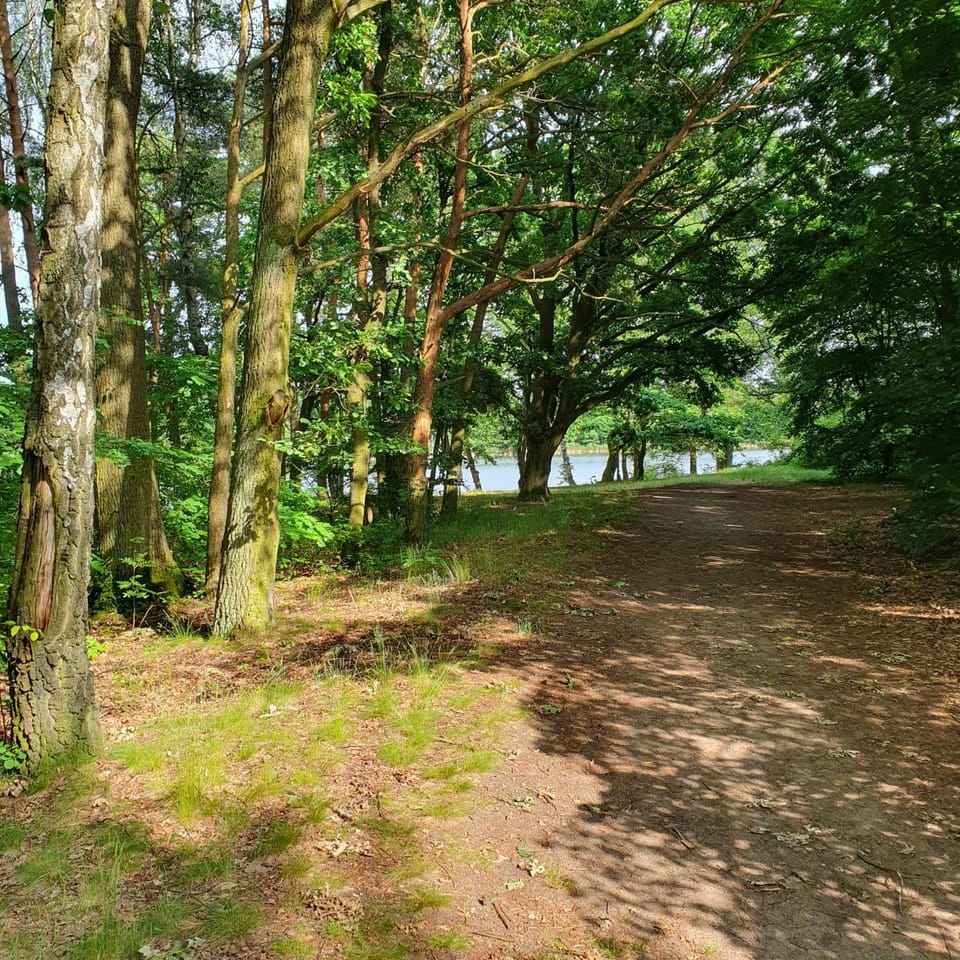 Lake view