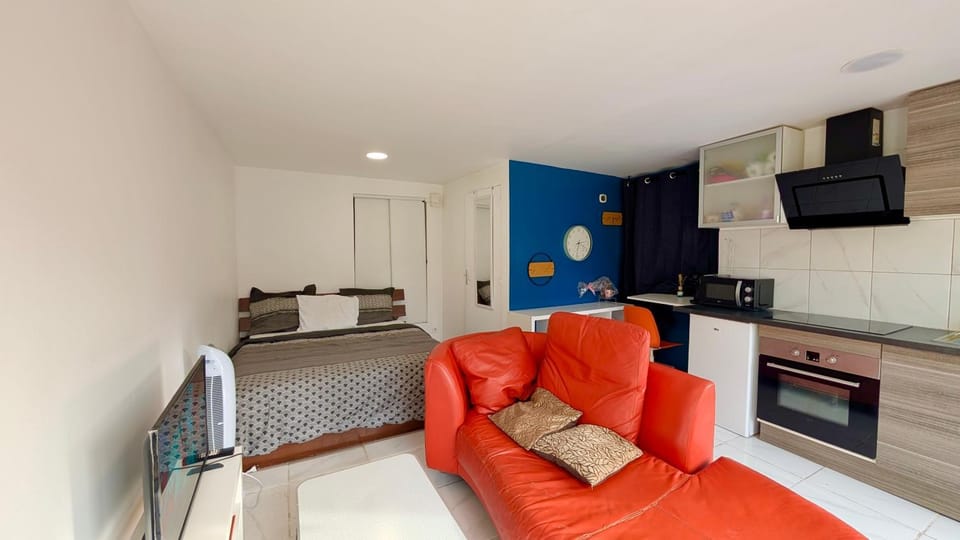 Bed, TV and multimedia, Kitchen or kitchenette, Living room, Photo of the whole room, Dining area, Bedroom, oven, stove